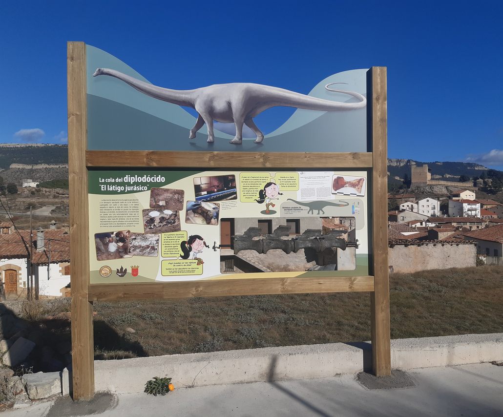 Réplicas de algunos huesos del Diplodocus estudiado exhibidas en el municipio de procedencia: El Castellar (Teruel, España).