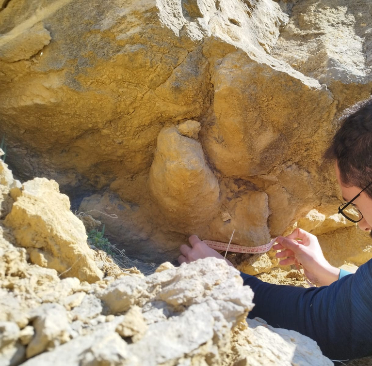 La Fundación Dinópolis descubre huellas de dinosaurios en Guadalaviar (Teruel)